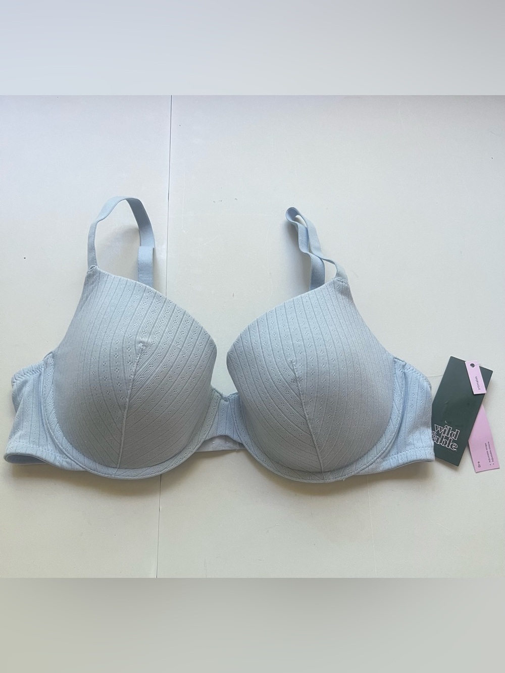 wild fable Light Blue Ribbed Molded Bra